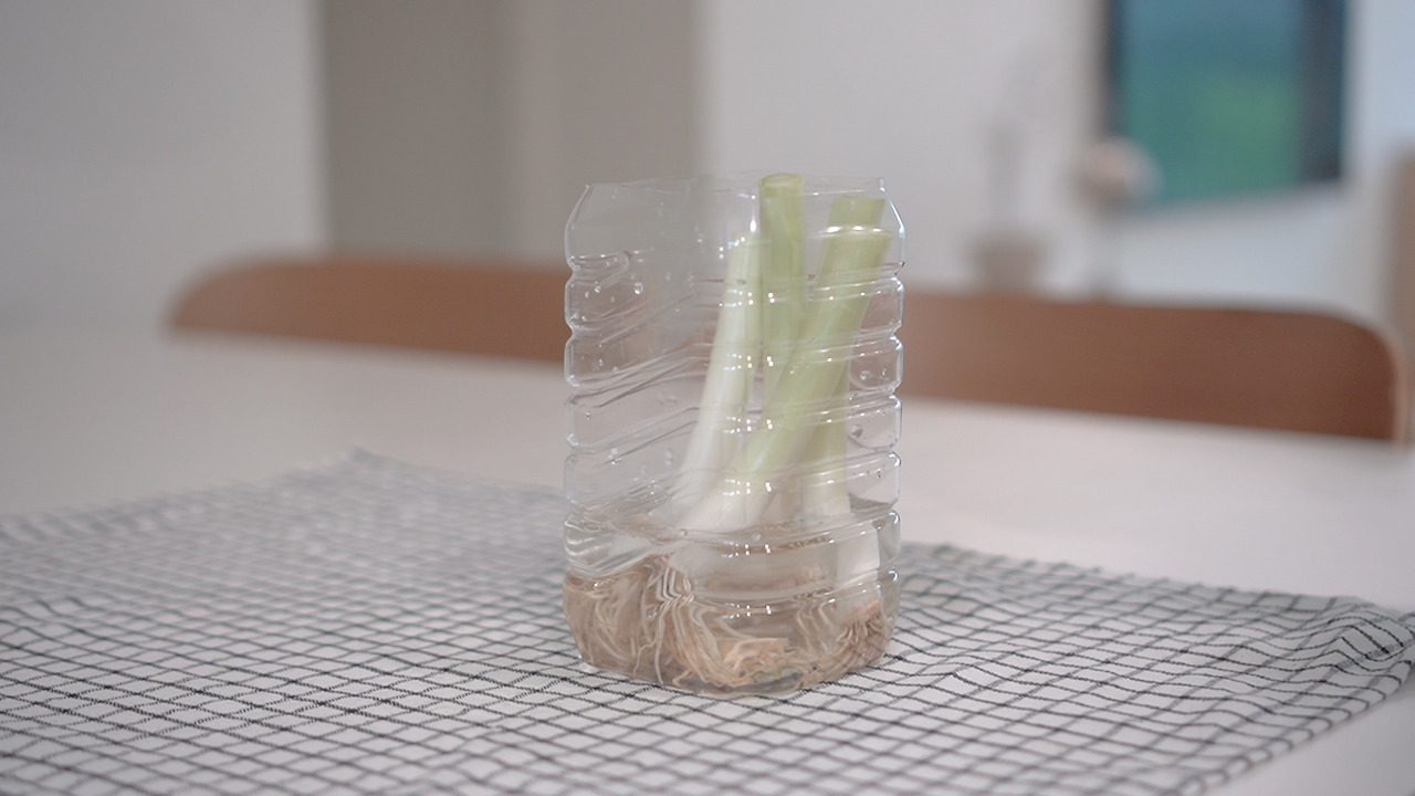 Hejdoo Vlog 식재료 정리.00_08_54_25.Still120.jpg