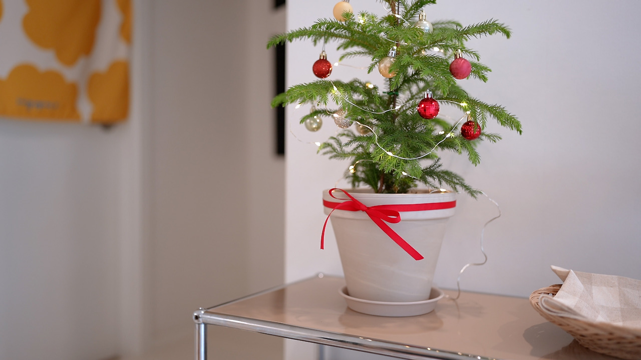 주방템 베스트.00_01_17_19.Still006.jpg