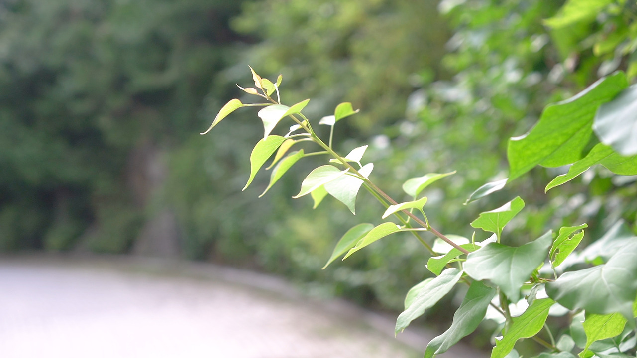 재활용 청소 팁.00_10_36_16.Still140.jpg