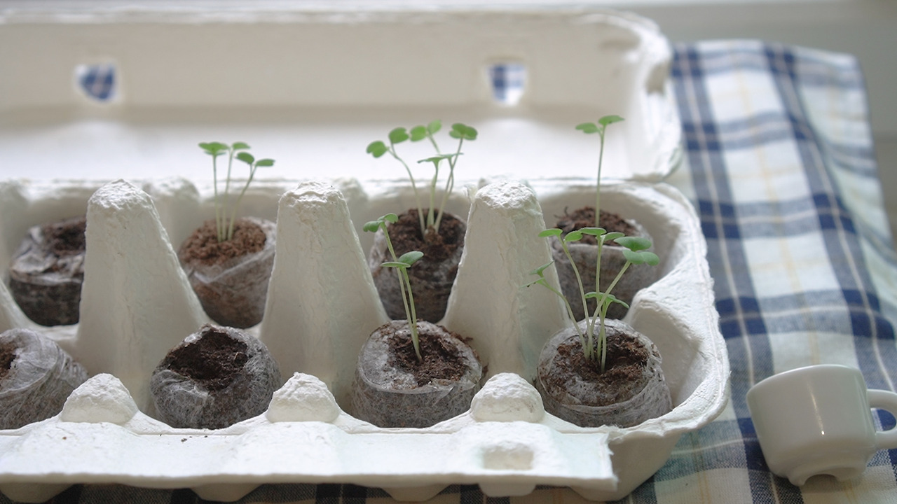 재활용 살림.00_12_47_06.Still175.jpg