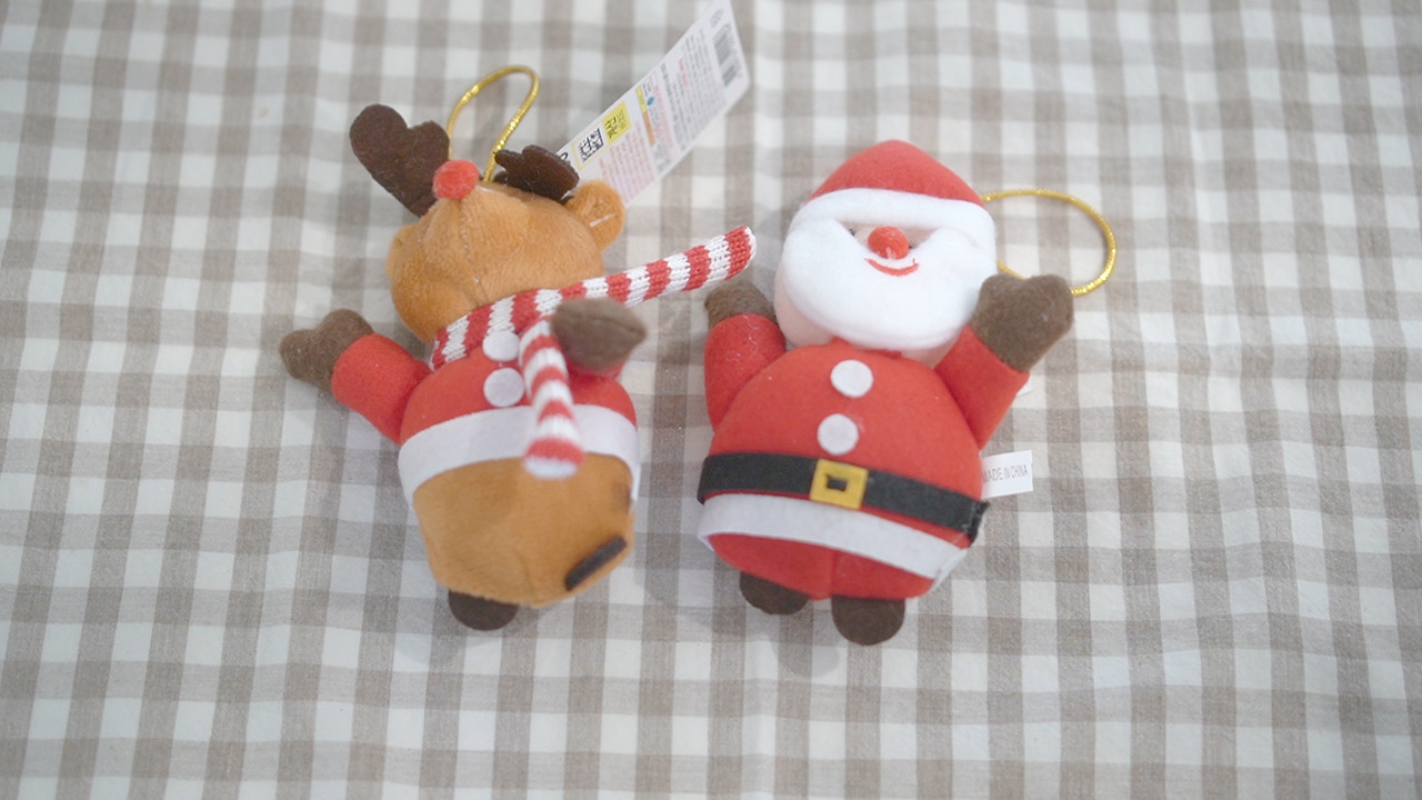 Vlog 44 Chirstmas.00_02_52_26.Still043.jpg