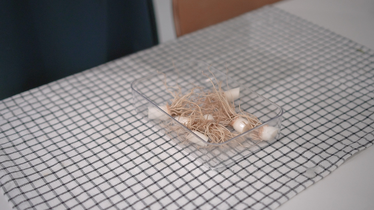 Hejdoo Vlog 식재료 정리.00_08_26_29.Still114.jpg