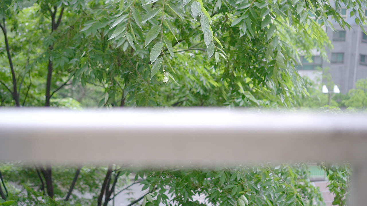 Vlog 32- Upcycling.00_05_24_15.Still076.jpg