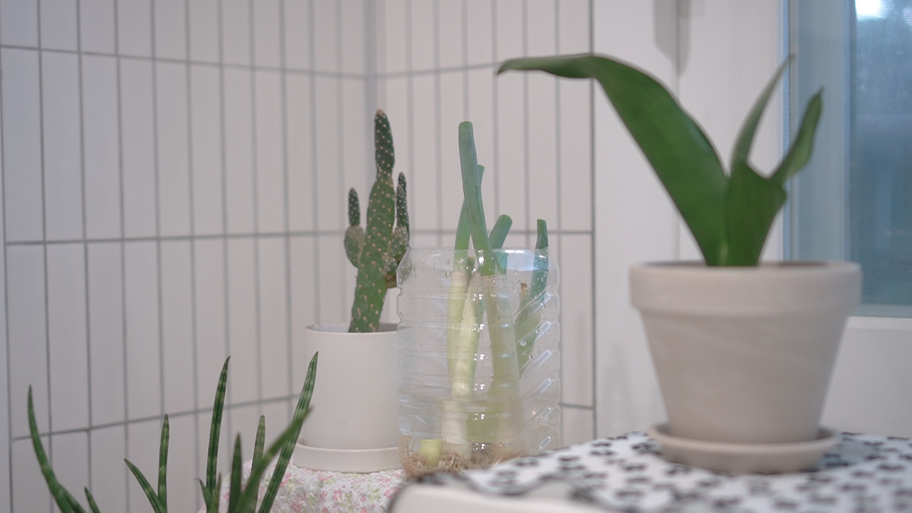 Hejdoo Vlog 식재료 정리.00_13_13_08.Still173.jpg