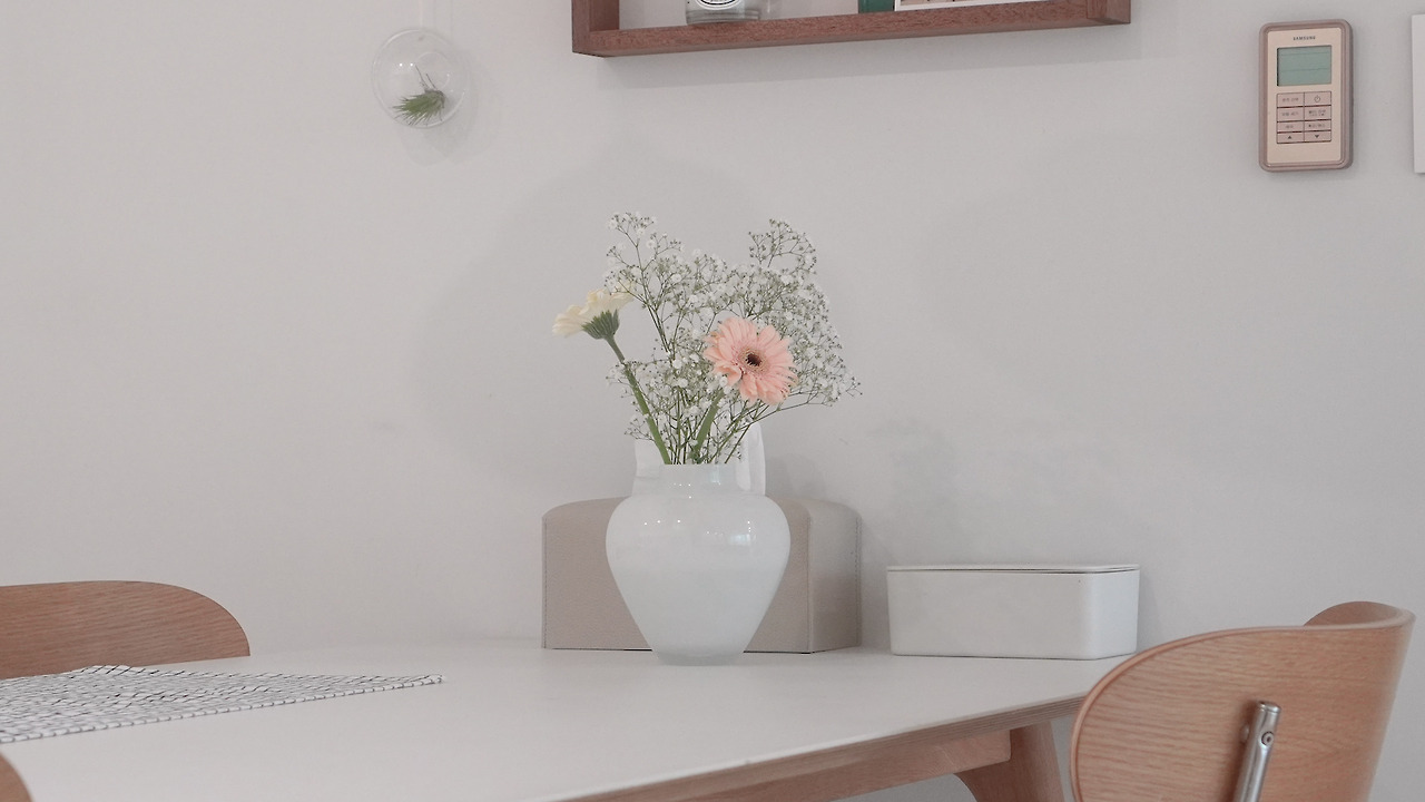 Vlog 세제없이 청소하는 법.00_05_47_14.Still084.jpg