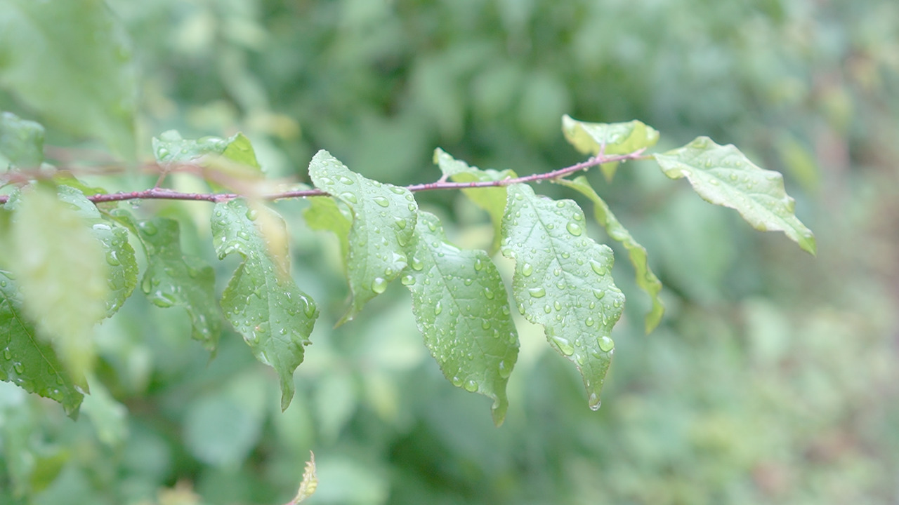 Vlog 32- Upcycling.00_05_19_15.Still074.jpg