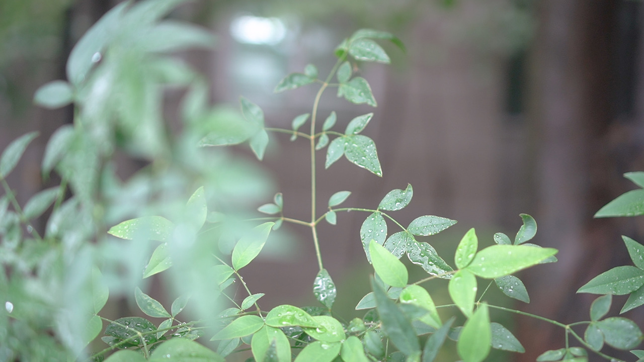 살림템 추천.00_08_20_07.Still114.jpg