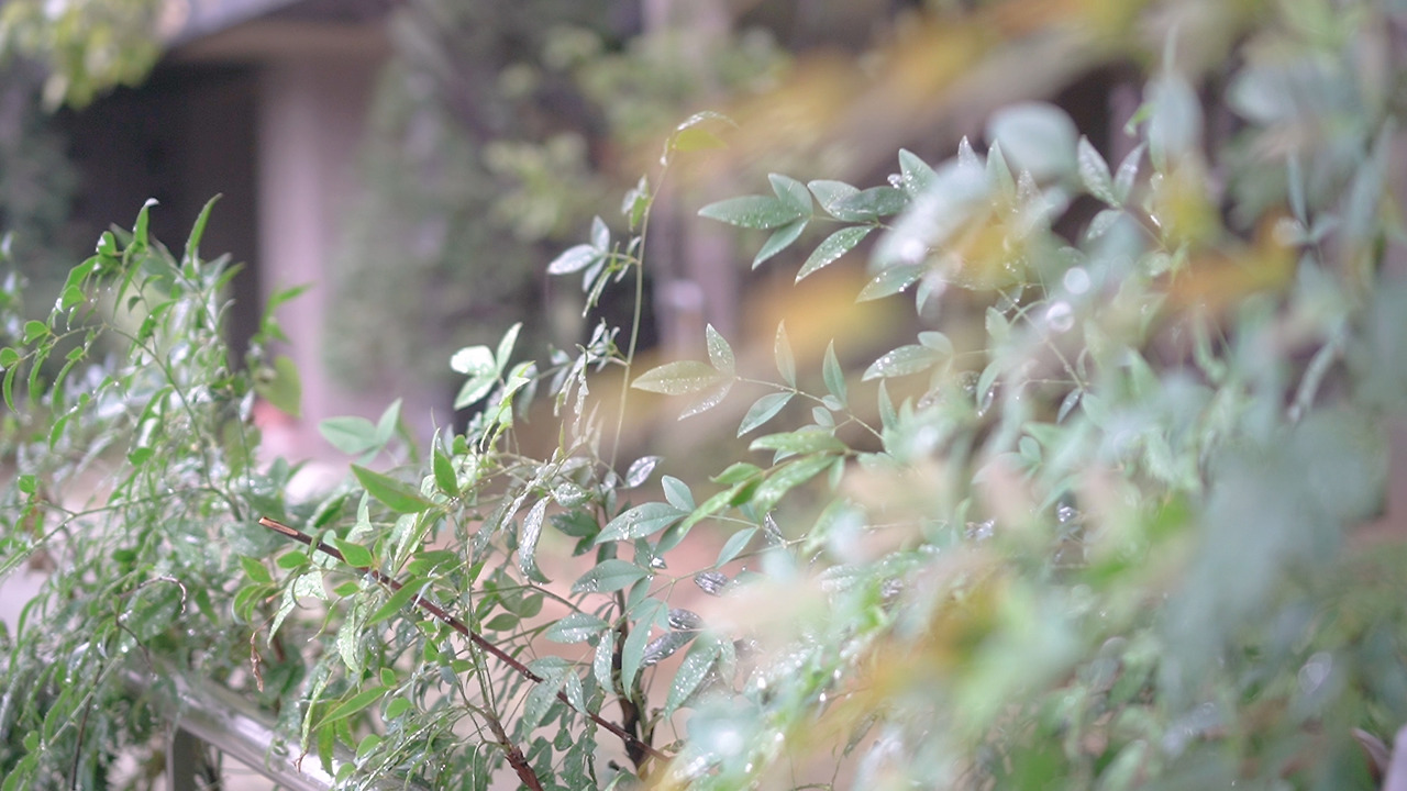 친환경 정리 2.00_09_09_20.Still004.jpg