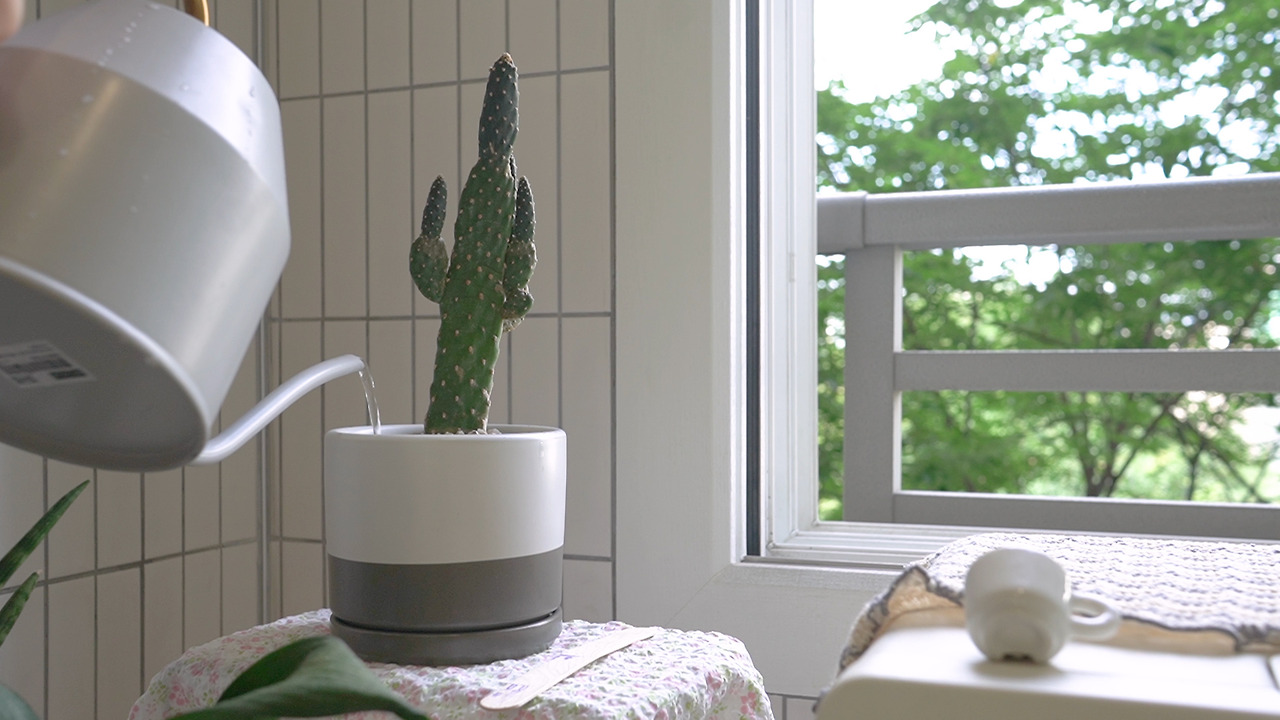 재활용 청소 팁.00_03_54_23.Still057.jpg