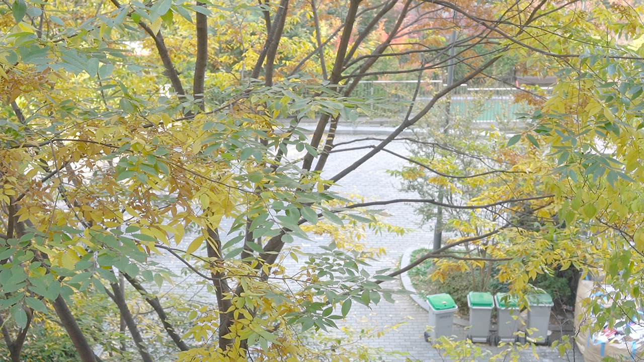 Vlog 42-다이소 정리템.00_10_37_15.Still115.jpg