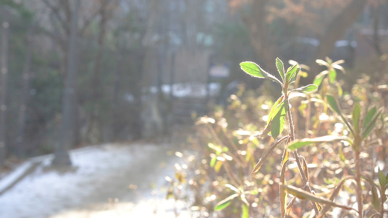 다이소 친환경.00_10_49_08.Still162.jpg