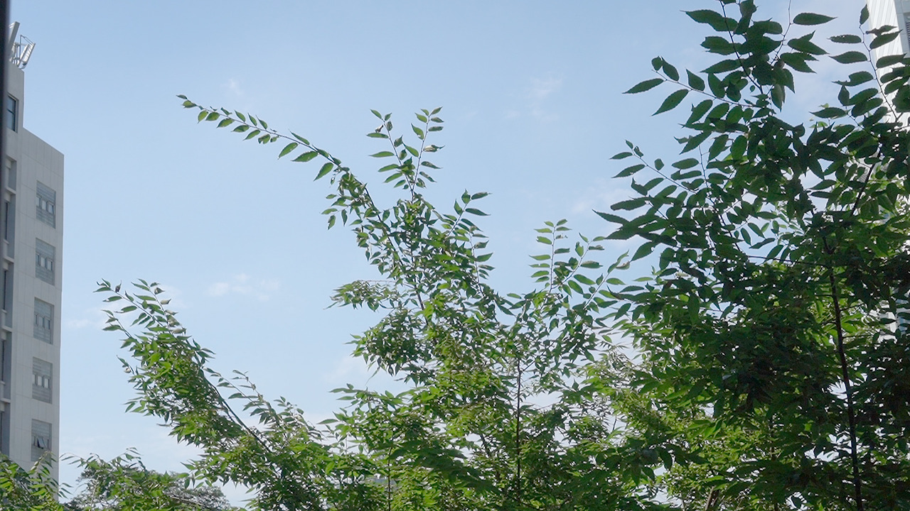 Vlog 33- Upcycling 2.00_00_30_16.Still002.jpg