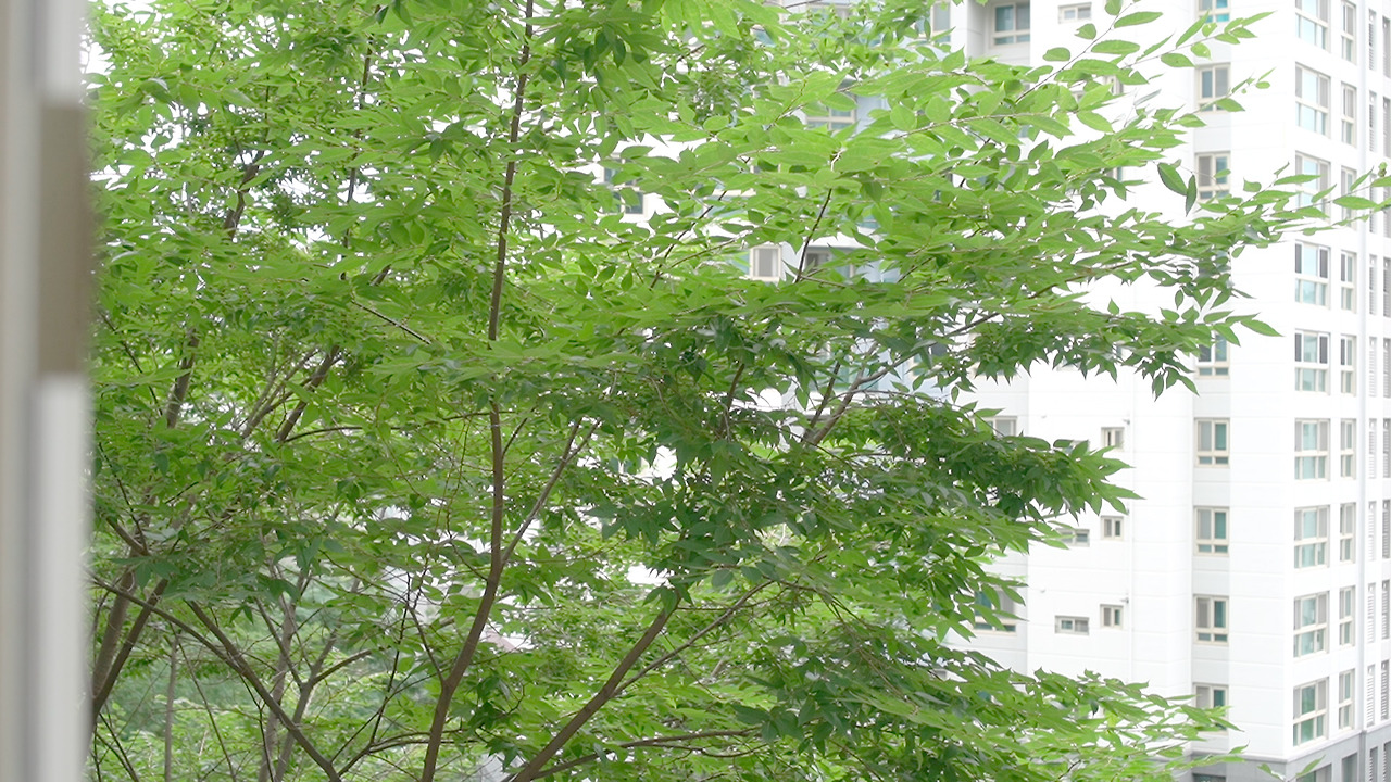 Vlog 32- Upcycling.00_08_26_29.Still125.jpg