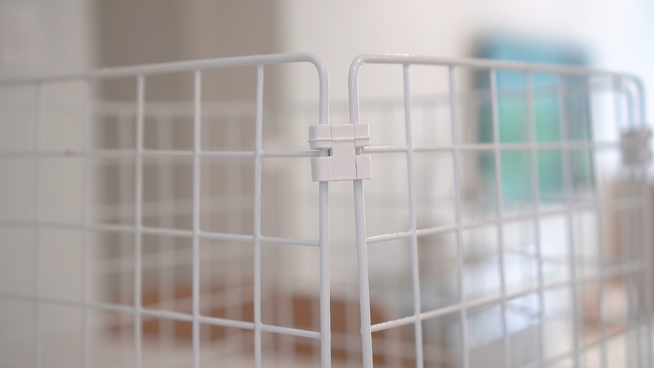 바나나 후크 .00_01_50_28.Still020.jpg