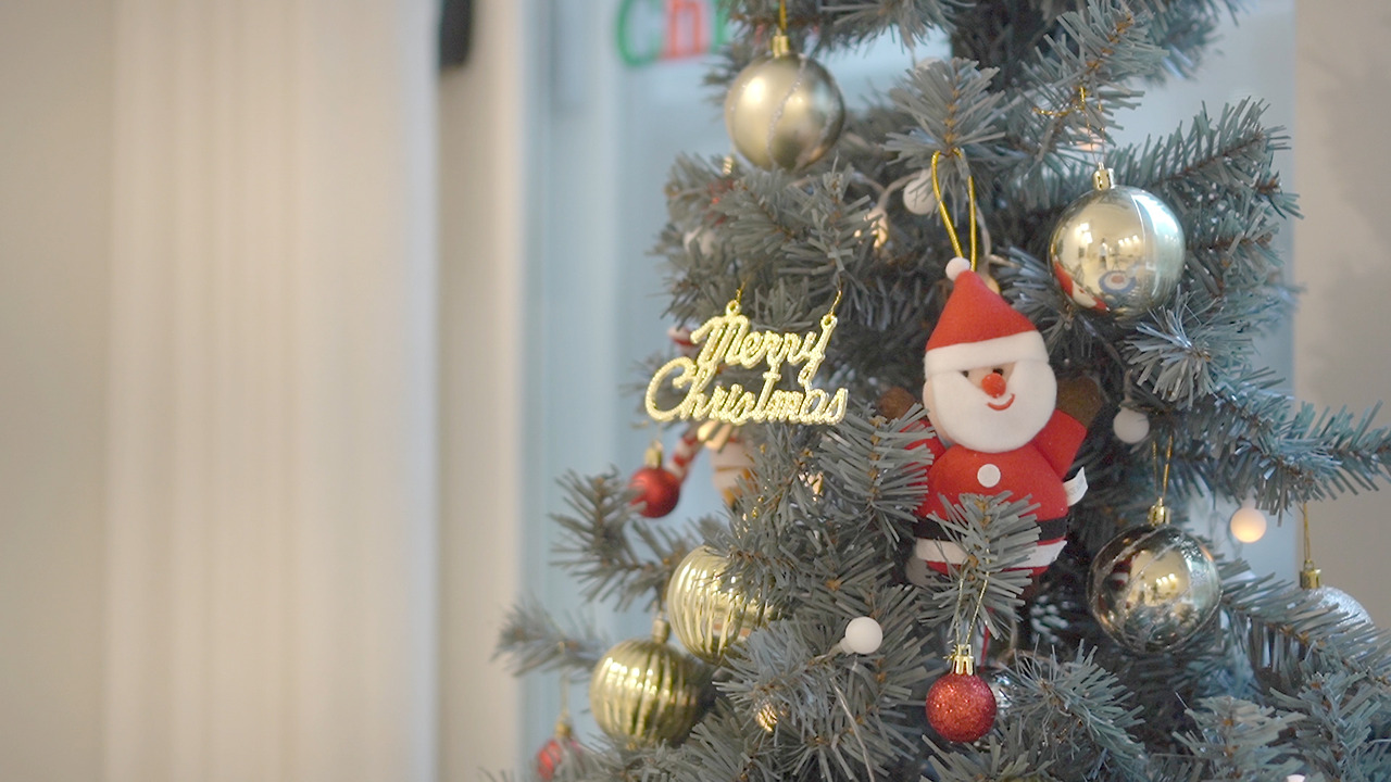 Vlog 44 Chirstmas.00_03_45_07.Still062.jpg