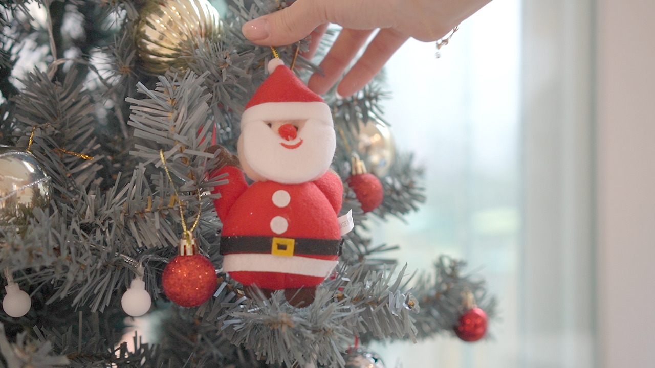 Vlog 44 Chirstmas.00_03_16_15.Still051.jpg