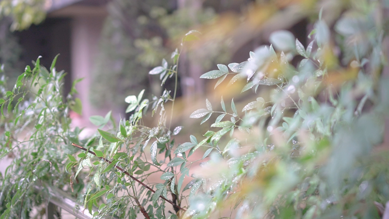 친환경 정리 2.00_09_01_22.Still115.jpg