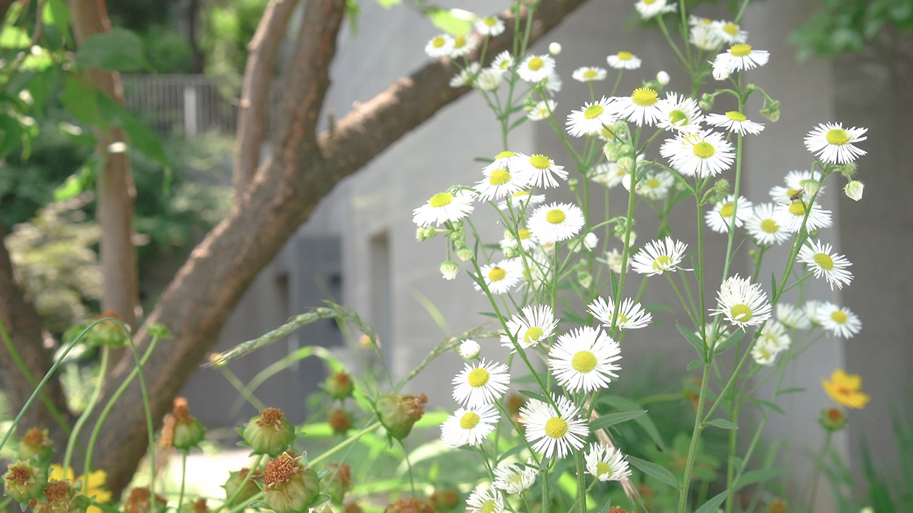 재활용 살림.00_12_59_08.Still178.jpg