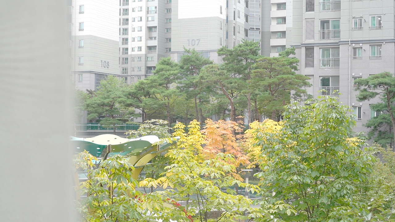 Vlog41 Ecoce.00_07_16_25.Still101.jpg