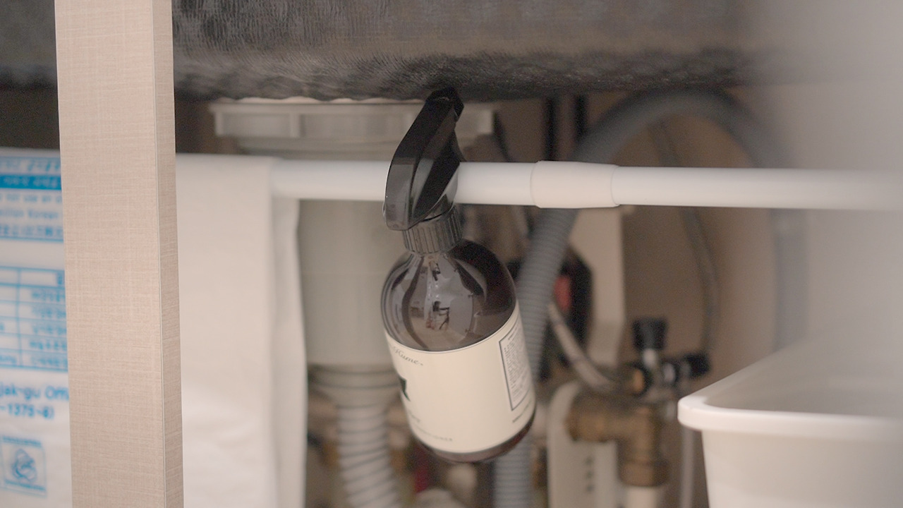 Vlog 31 Daiso 02.00_04_35_09.Still059.jpg