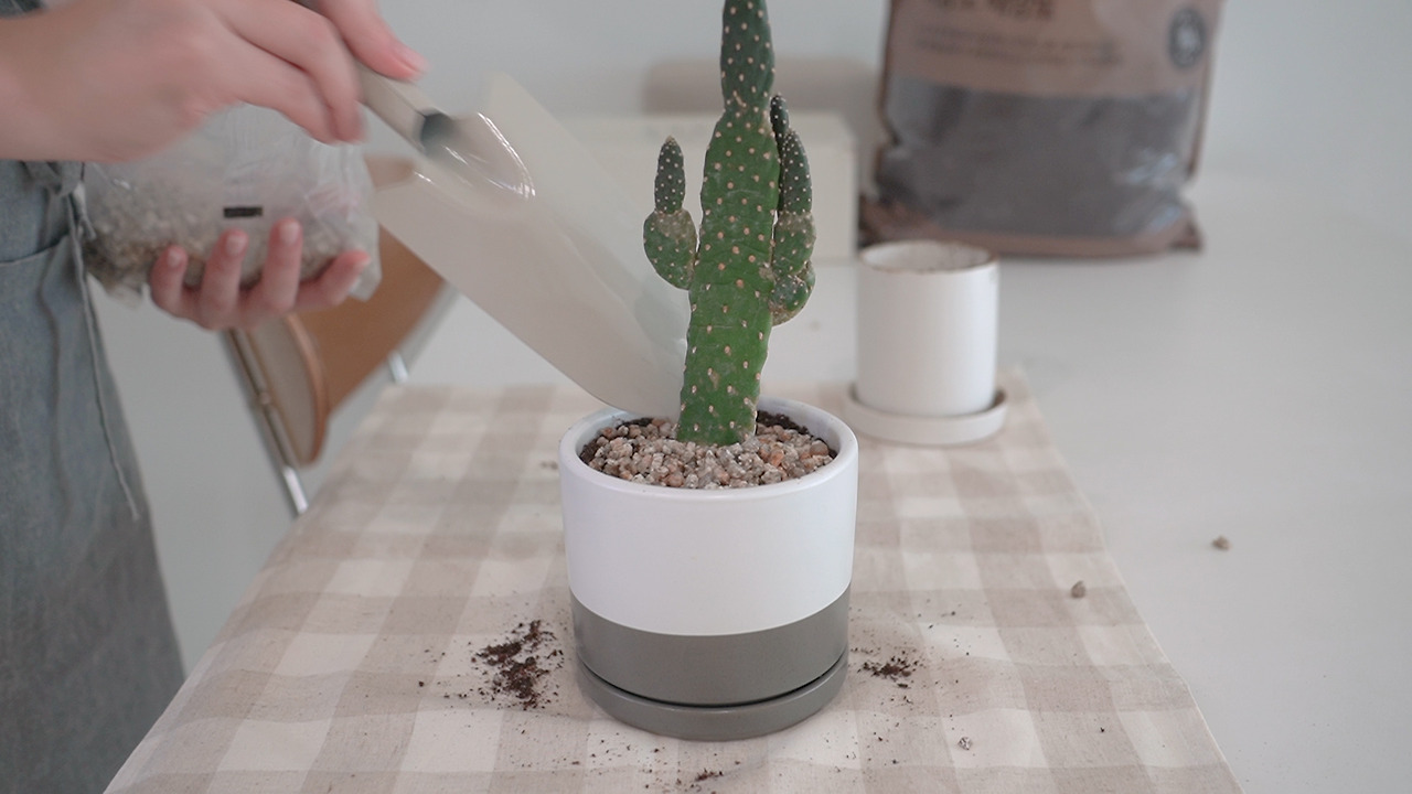 재활용 청소 팁.00_03_49_07.Still055.jpg