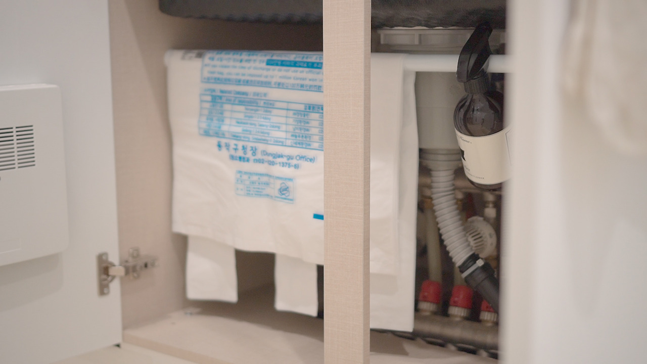 Vlog 31 Daiso 02.00_04_40_12.Still061.jpg