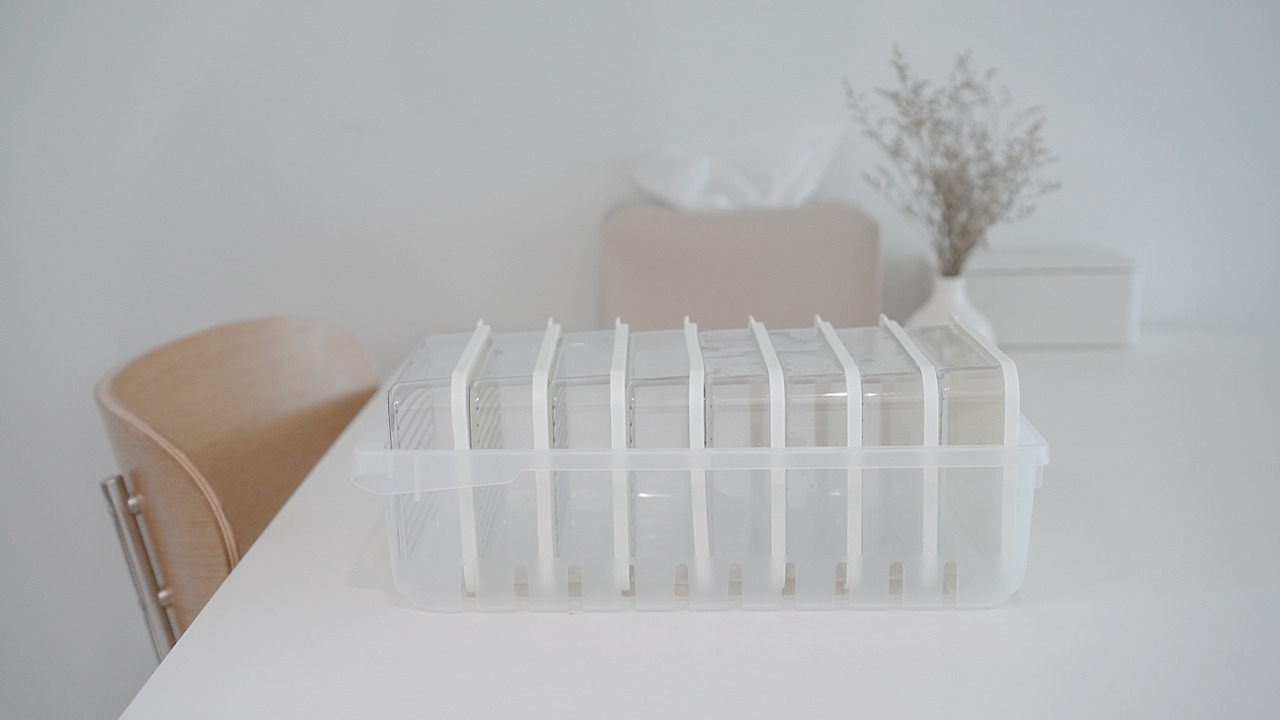 Vlog 35.00_03_02_09.Still026.jpg