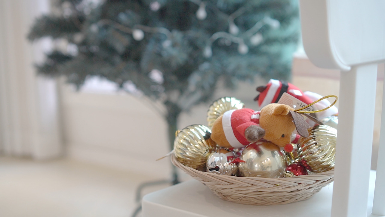 Vlog 44 Chirstmas.00_03_07_11.Still047.jpg