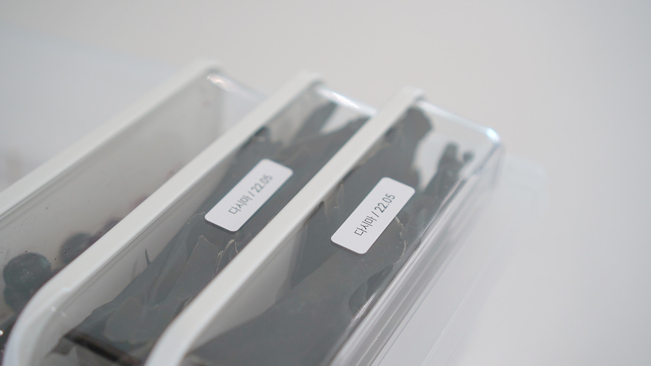 Vlog 34.00_02_17_23.Still026.jpg