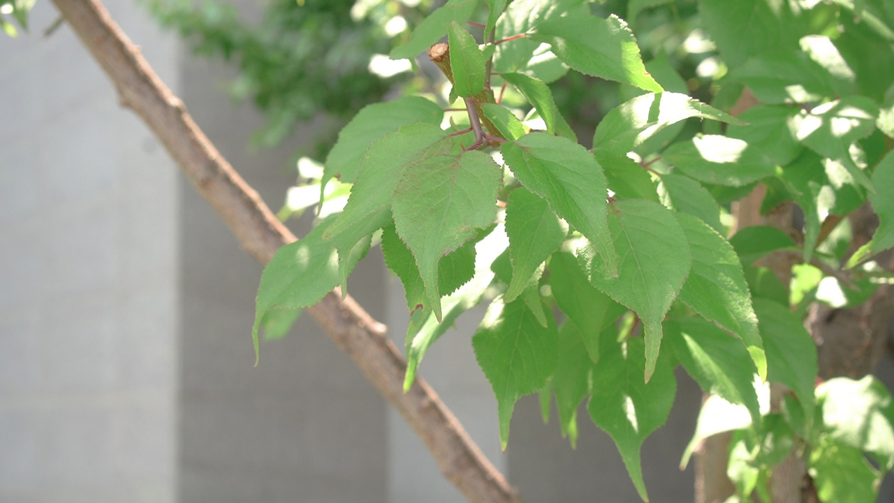 재활용 살림.00_00_39_09.Still001.jpg