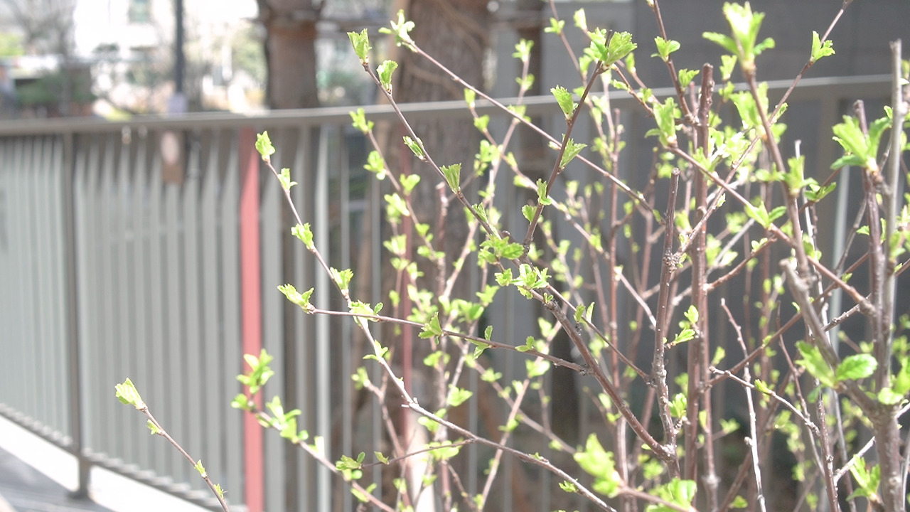 친환경 정리 2.00_00_39_24.Still009.jpg