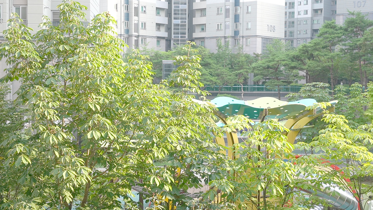 Vlog 35.00_00_41_07.Still006.jpg