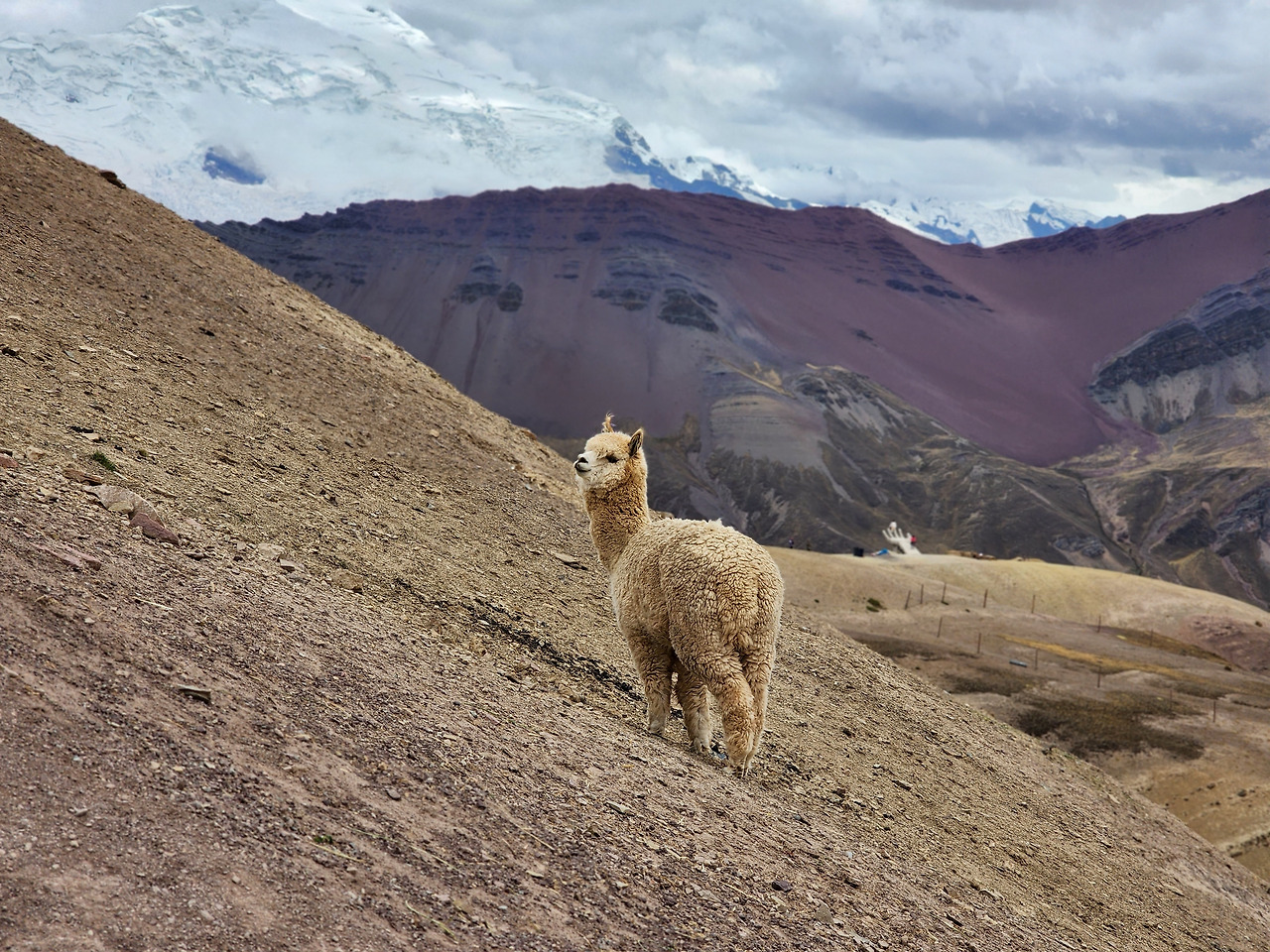 20221115_095817 (1).jpg