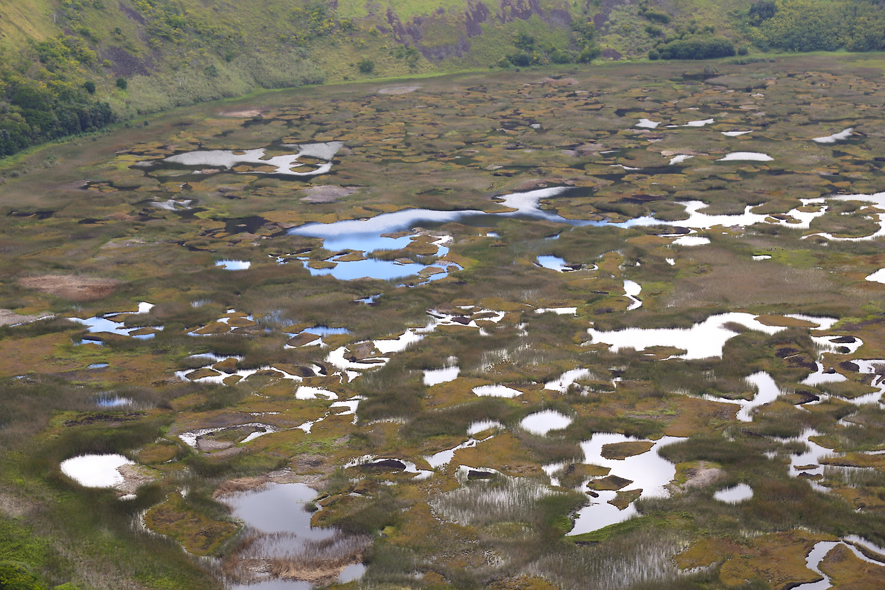 2 라노 카우와 오롱고 - 4.jpg