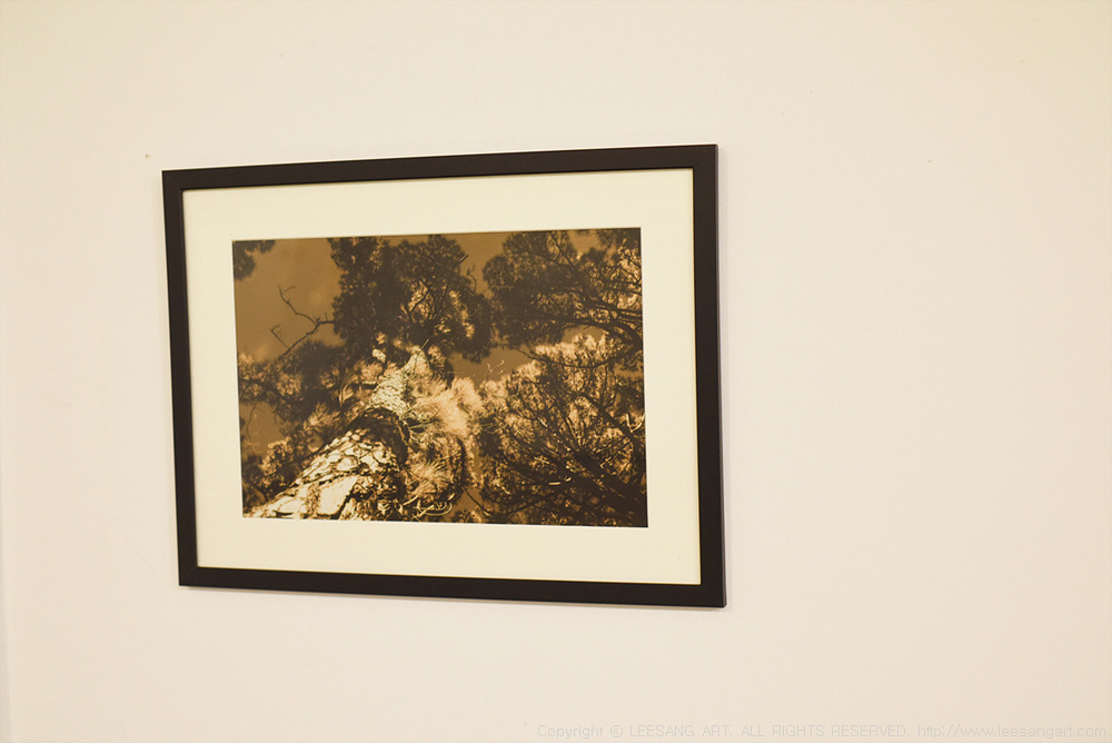 사진2 - 장 줄리앙 푸스 작가의 ‘엘 이에로’(EL HIERRO) 작품_www.leesangart.com.jpg