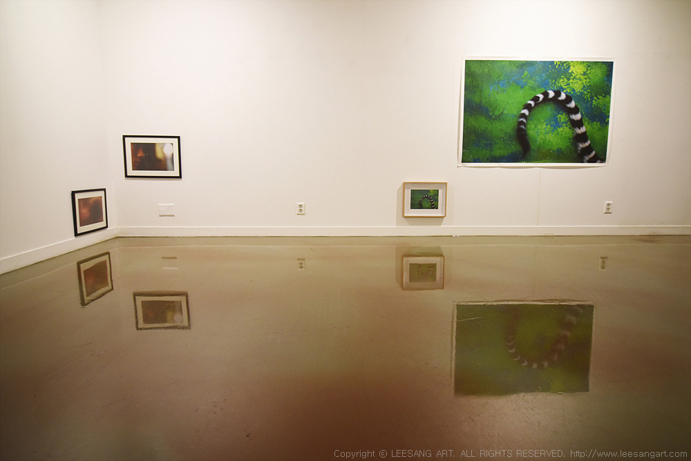 사진1 - 이상아트의 리빙월드 인간과 자연(Living world)展 전시 전경_www.leesangart.com.jpg