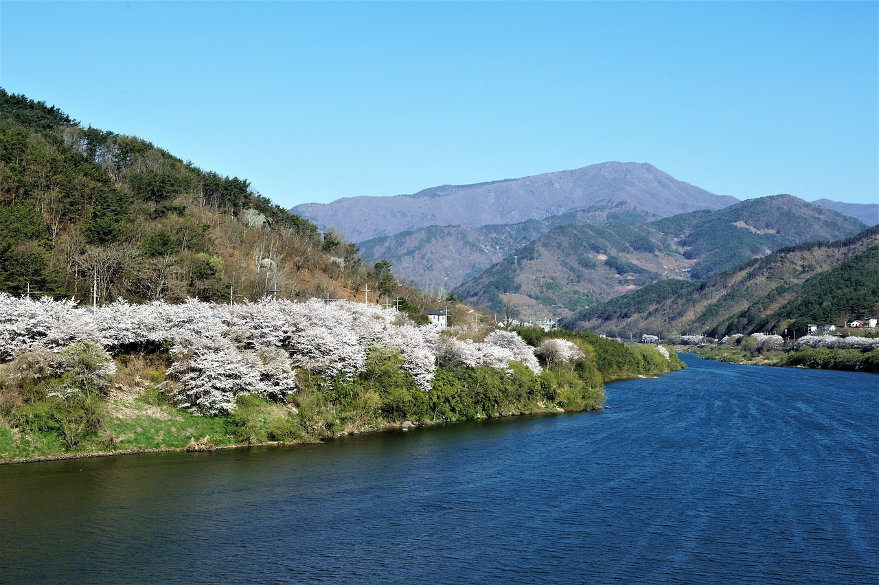 seomjin-river-4104498_1280.jpg