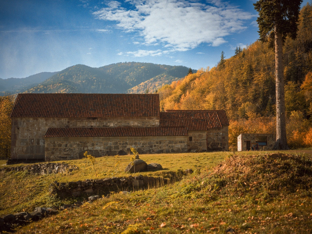 batch_2025-10-23 Gori_22-편집.jpg