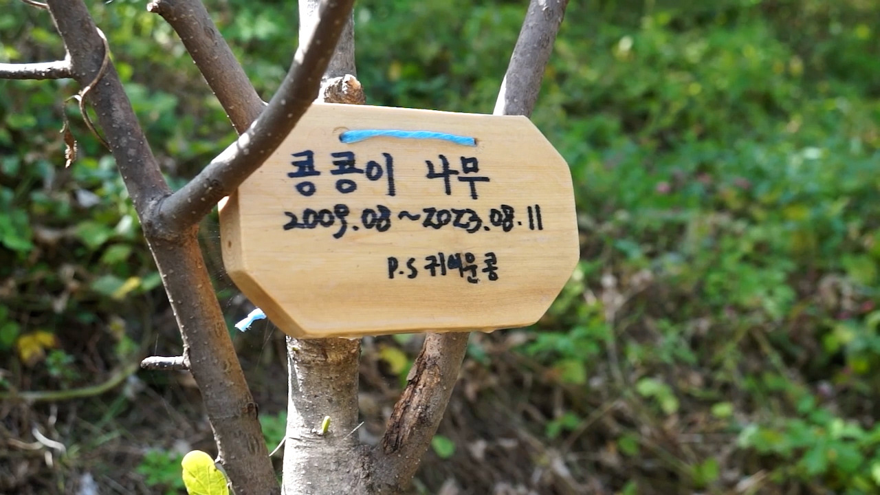 오블라디 오블라다.00_15_22_17.스틸 004.jpg