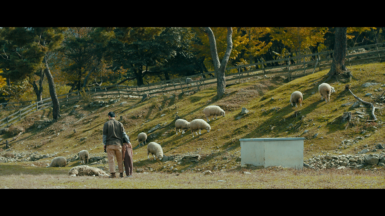 정말 먼 곳 스틸 (2).jpg