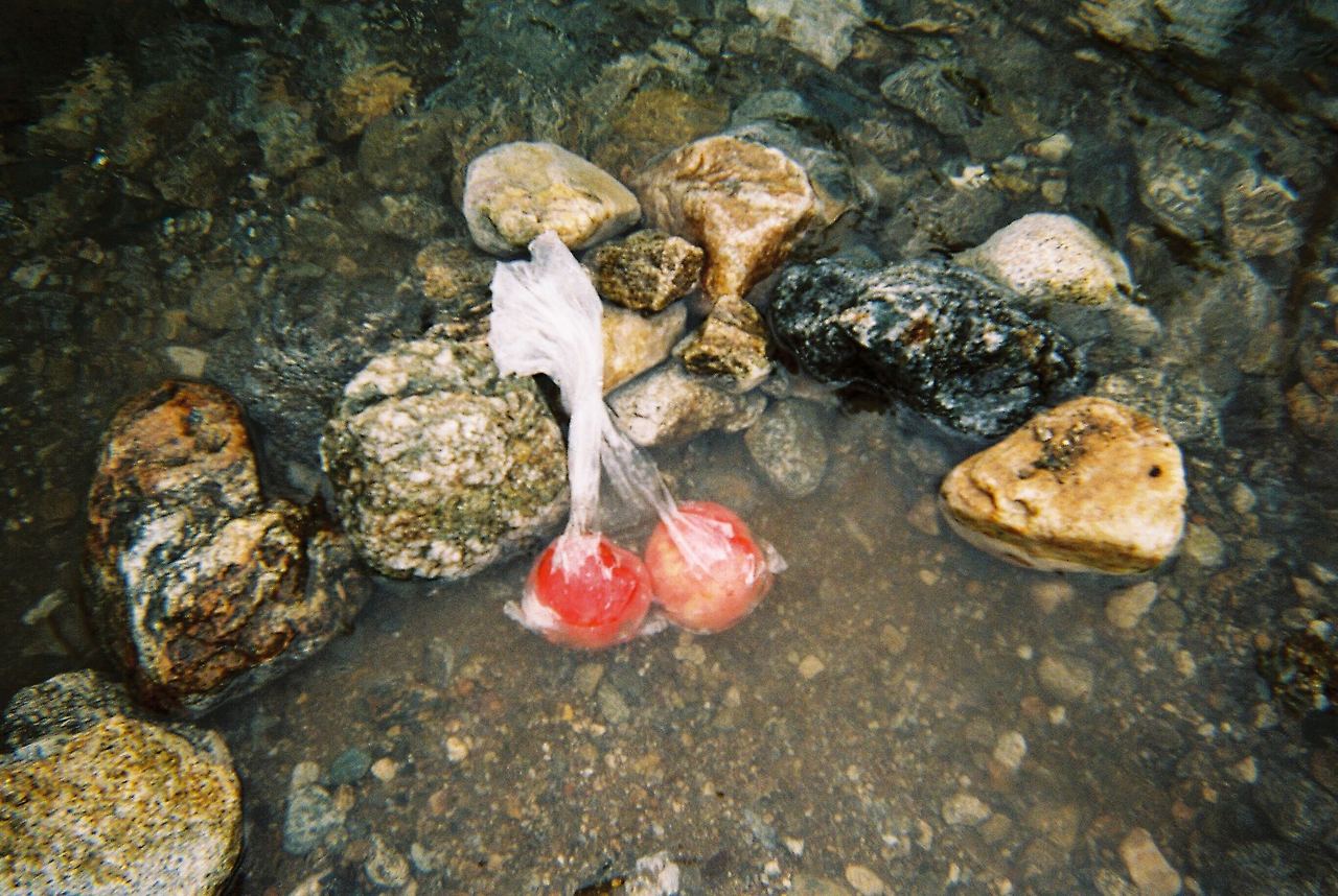 iOS 이미지 (1).jpg