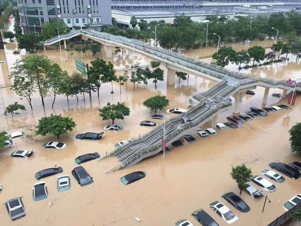 photo_2020-05-22_11-31-51 (3).jpg