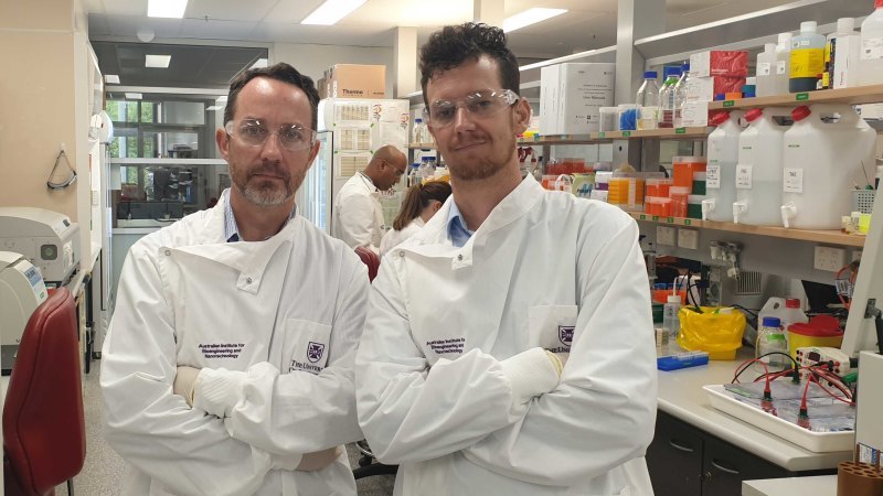 Australian Institute for Bioengineering and Nanotechnology professor Trent Munro and UQ's School of Chemistry and Molecular Biosciences Dr Keith Chappell in the AIBN lab..jpg