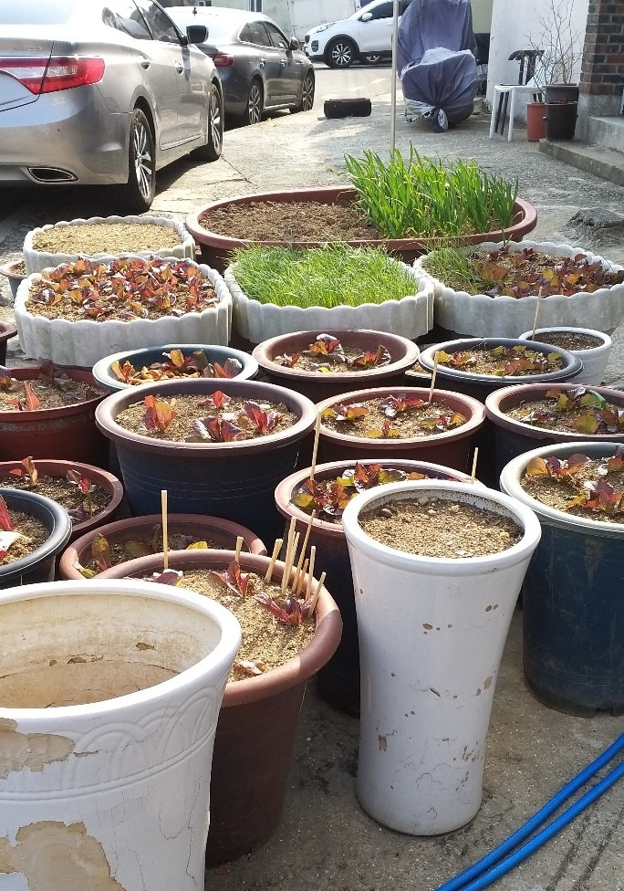 KakaoTalk_20220325_095301371 (2).jpg