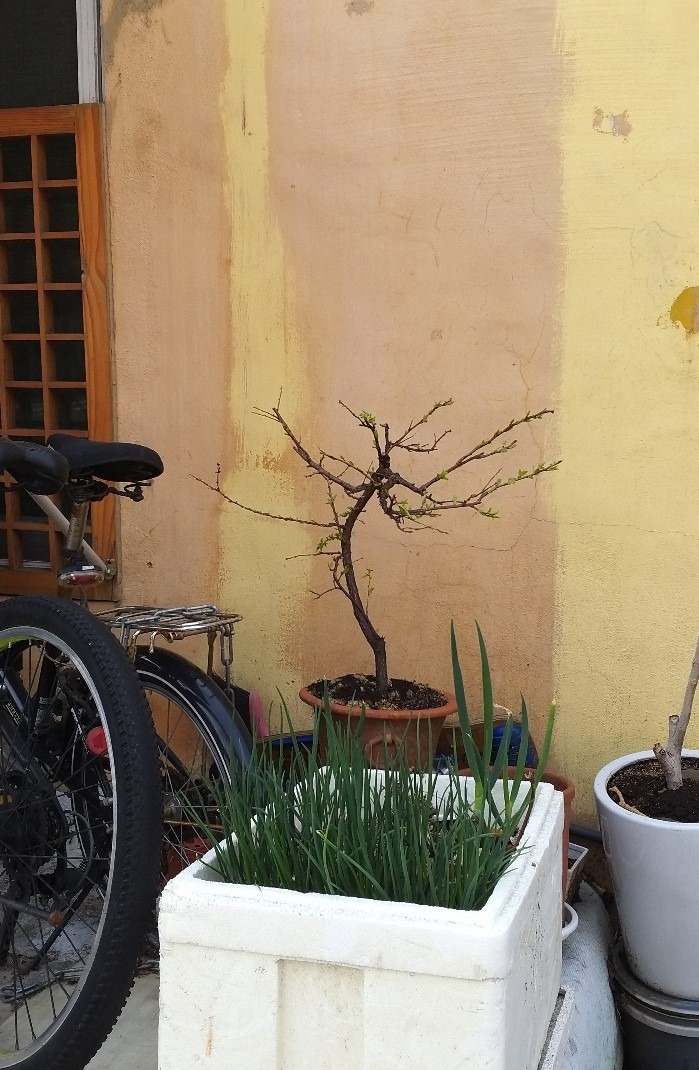 KakaoTalk_20220325_095321619 (2).jpg