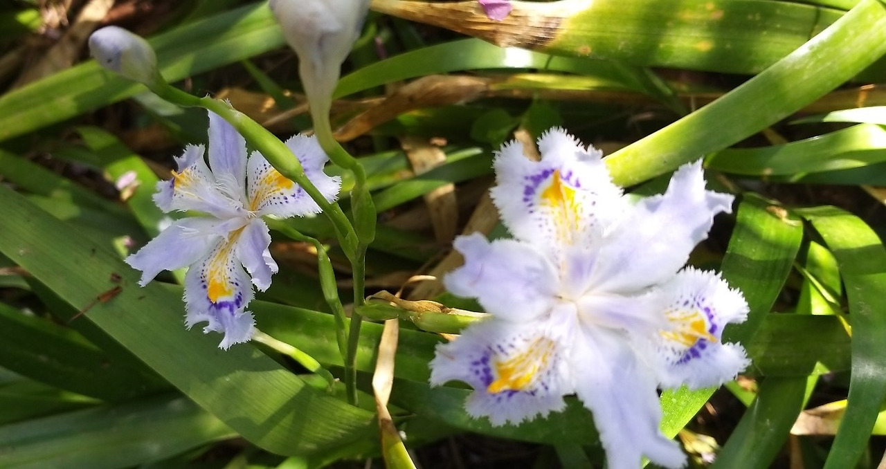 KakaoTalk_20220418_004001999_16 (2).jpg