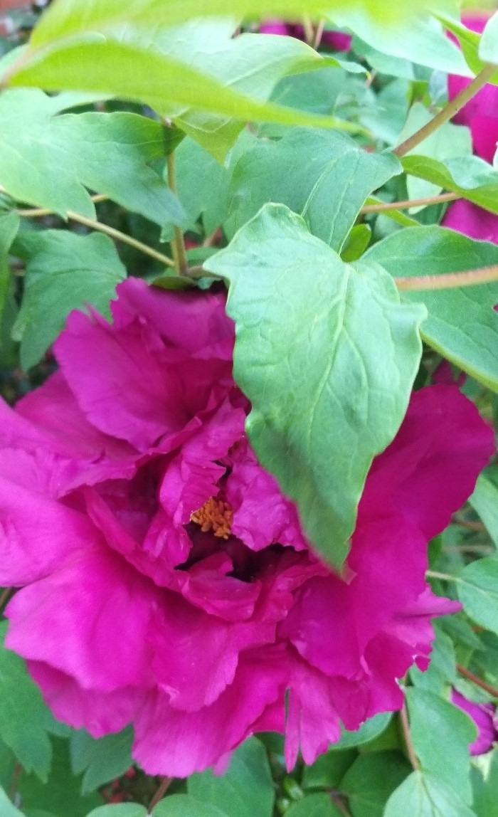 KakaoTalk_20220418_004001999_09 (2).jpg