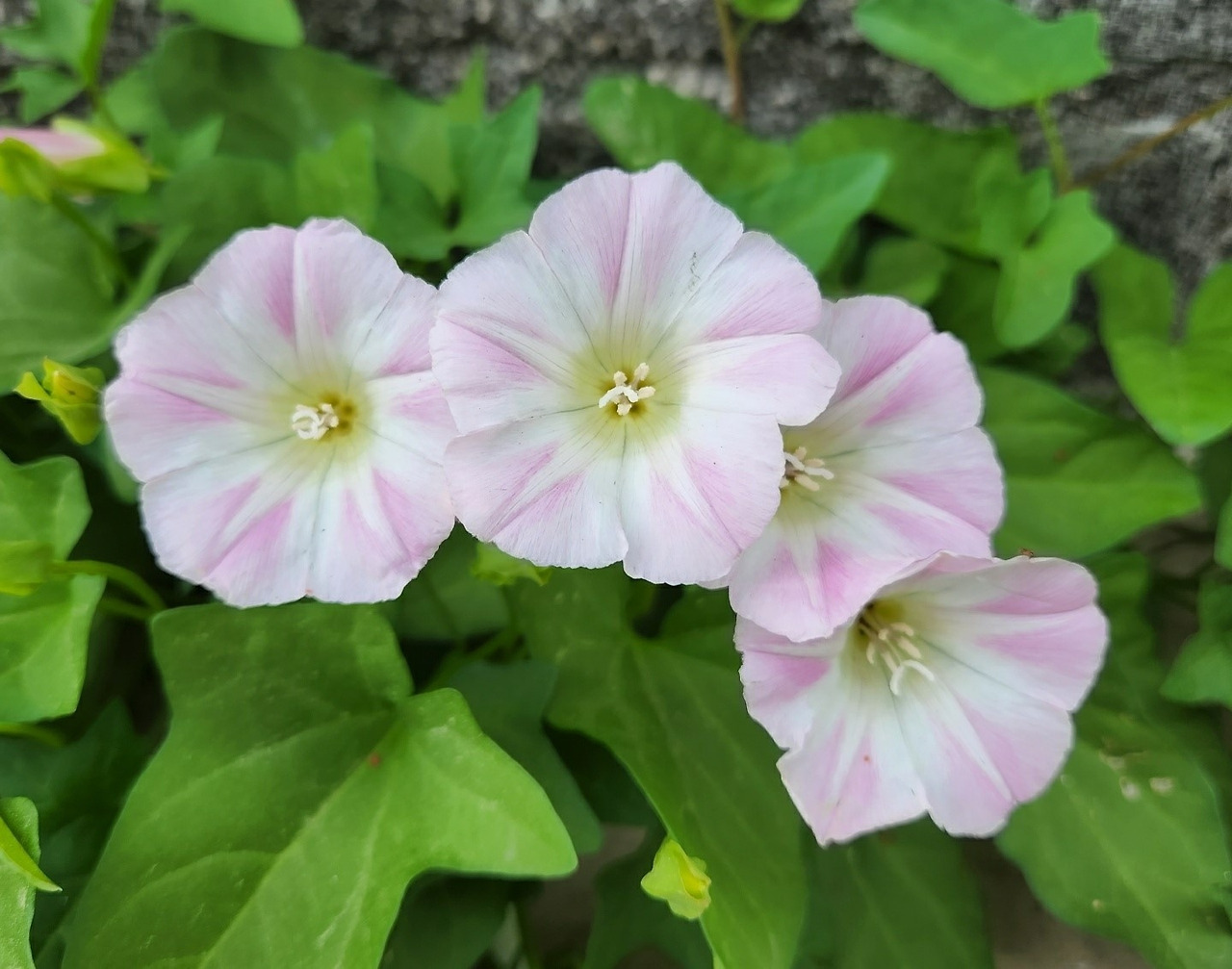 KakaoTalk_20220513_225041287_02 (2).jpg