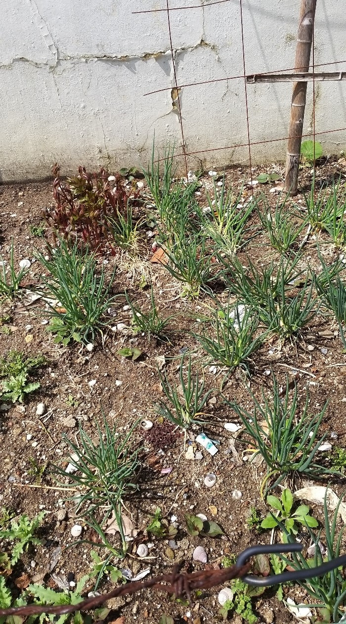 KakaoTalk_20220328_165719161 (2).jpg