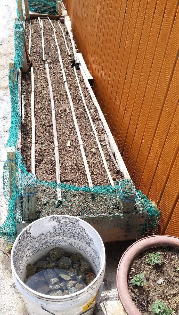 KakaoTalk_20220328_163736501 (2).jpg